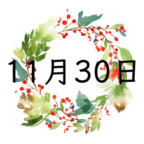 11月30日性格|11月30日生まれの性格は？星座・誕生花や2024運。